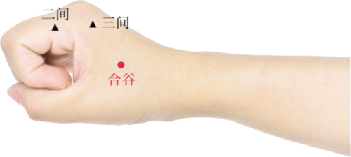 面口合谷收