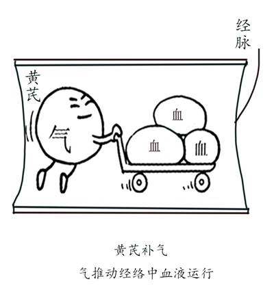 黄芪桂枝五物汤，治麻木第一方！