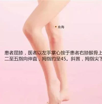 调理脾胃的穴位
