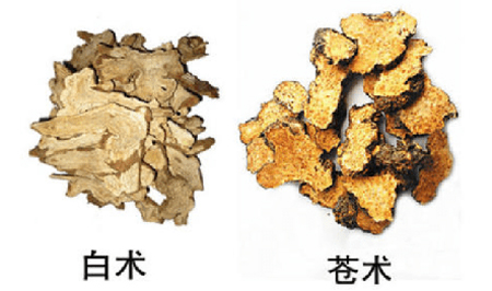治疗肌痹（硬皮病）医案