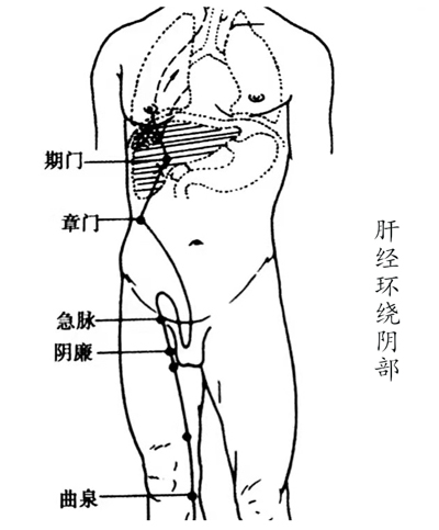 经常小腹部、阴部、腿部发凉怎么办？