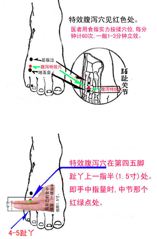 腹泻特效穴位