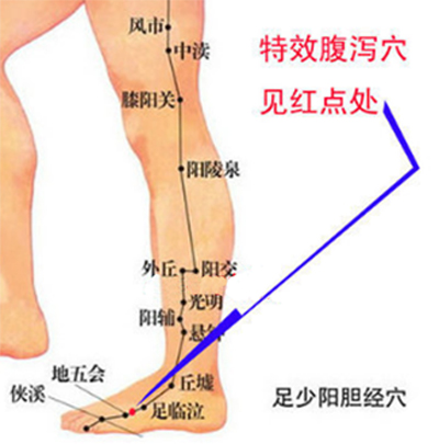 腹泻特效穴位