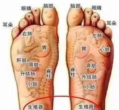 阳痿痛点、穴位