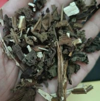 名中医推荐5款祛湿方