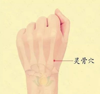 灵骨穴