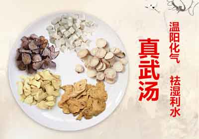 肾病初期处方