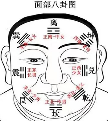面部八卦图