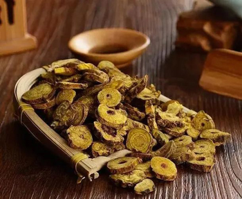 国医大师张磊应用黄芩经验