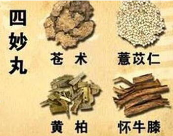 四妙丸加减治疗肛周湿疹