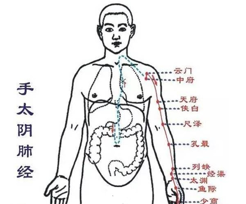 肺经