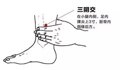 三阴交穴