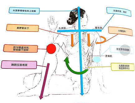 基础体式